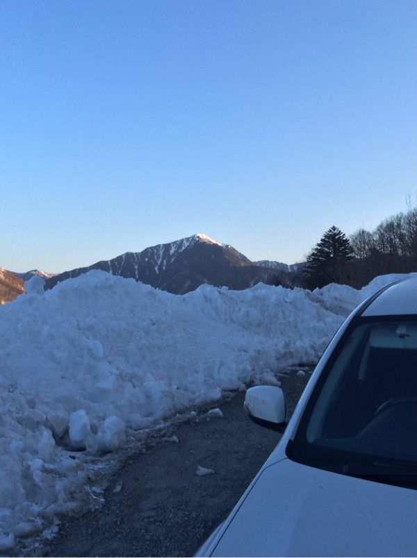 よい天気になりそうです♪