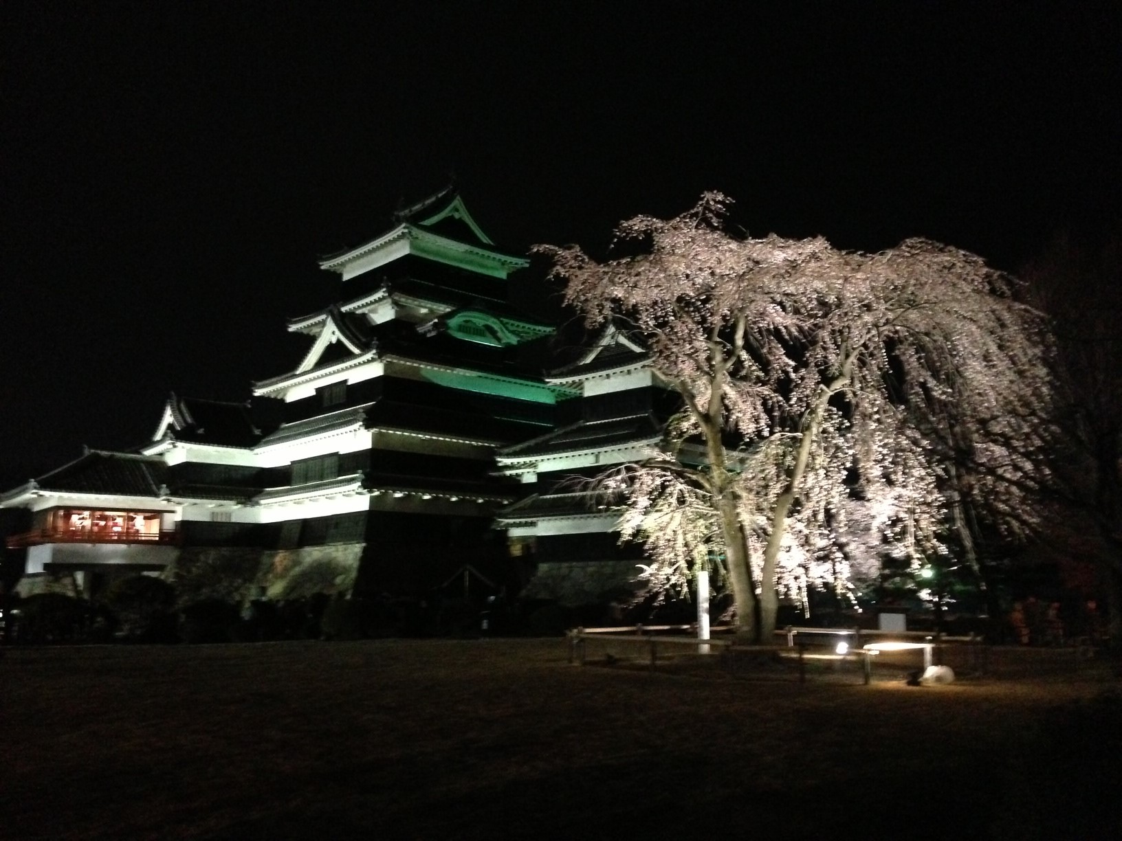 夜桜中継！！