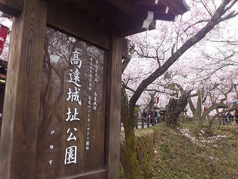 天下第一の桜