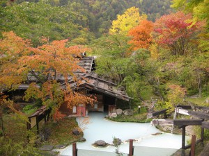 紅葉情報＆そば祭り