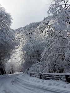 雪のトンネル♪