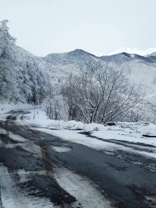 幻想的な世界