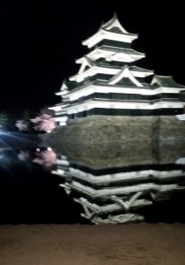 松本城夜桜_04