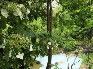 6月の露天風呂