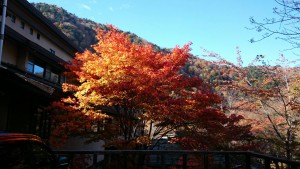 本日午後2時の気温。。。