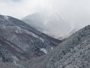 今日の白骨