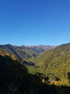 一日快晴の白骨でした。