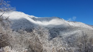 雪景色の上高地