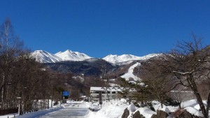 最近の風景