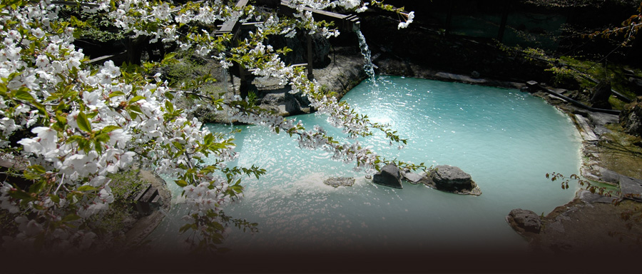 白骨温泉「泡の湯」はにごり湯の大露天風呂で男女共有大露天風呂です。