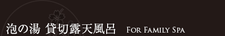 白骨　泡の湯　貸切大露天風呂