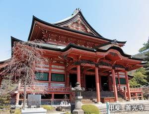 甲斐善光寺は戦国時代に武田信玄が建立したといわれ、信州善光寺を建立した本田善光葬送の地といわれる場所にあります。 金堂中陣天井には巨大な龍が2匹描かれている吊天井となっており、ここで手を叩くと多重反響による共鳴現象「鳴き龍」が起きます。 